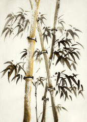 Naklejki  złote bambusowe drzewa