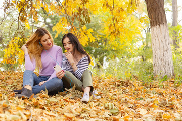 Summer autumn vacation, holidays, travel and people concept - group of young women in the park