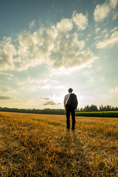 Businessman standing with his back to the camera in the sawn field