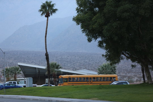 schulbus in palm spring mit Palme