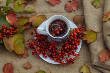 tea in a white mug with bunches of Viburnum in a plate and autumn yellow, green and red leaves on the table with a linen tablecloth top view