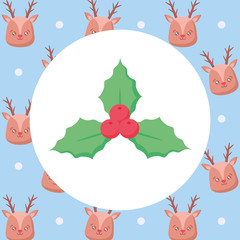 christmas mistle toe icon