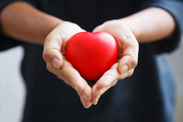 red heart held by female's both hands, represent helping hands, caring, love, sympathy, condolence, customer relationship, patient assistance, life moment, psychological support, service mind concept