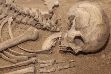 the skeleton of an ancient man, archaeological excavations, exhumation.
