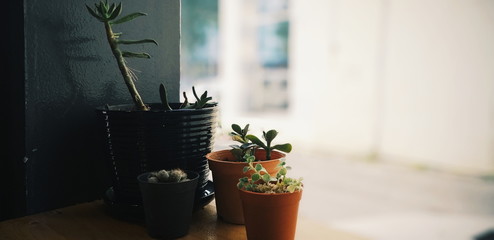 Processed with VSCO with g3 preset