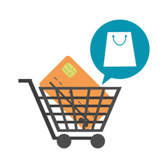 Shopping cart with credit card