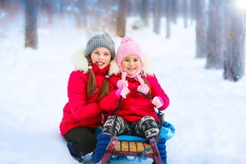 two little sisters ride sledding in the park in winter