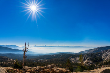 Fototapeta na wymiar Sunstar, high noon, Sierra Nevada, CA