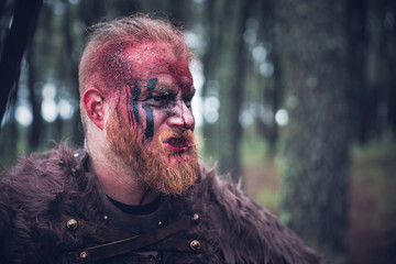 viking with red beard with weapons and armor