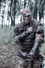 Naklejka premium viking with red beard with weapons and armor