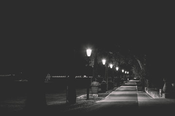 Le chemin en noir et blanc