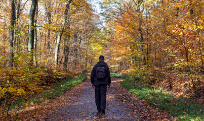 Fototapeta premium Men in black walking alone in a colorful autumn forest.