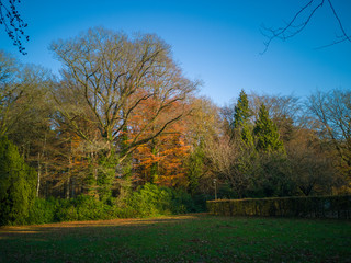 autumn in the park