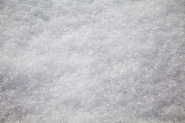 Snow Surface Texture
