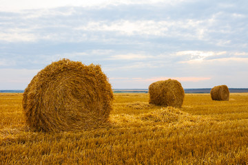 Fototapeta premium summer wheat field after a harvest with haystack