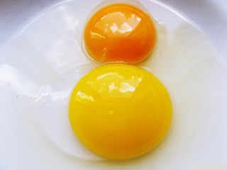 Two eggs, two colours, two sizes