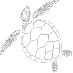 contour of a sea turtle on the isolated white background