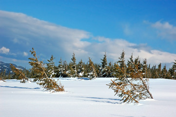 Winter mountain landscape with snow covered road forest hills snow and blue sky with clouds