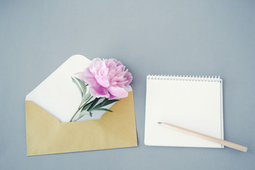 Peony flower in a yellow envelope, open notebook with an empty blank sheet for your text and pencil on a gray background, top view
