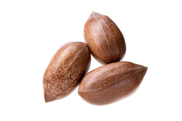 Pecan nuts isolated on white background. Carya illinoinensis