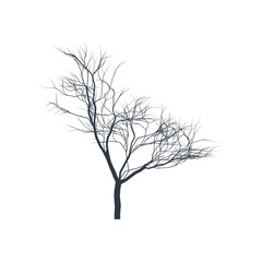 Tree silhouette on white background. Bare tree. Vector illustration.