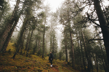 Sunrise in the forest