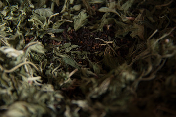 green tea leaves background