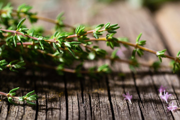 creeping thyme spice fresh leaves on old wooden table
