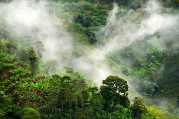 Fototapeta na wymiar Alpine cloudy landscape near Buenavista, Antioquia, Colombia