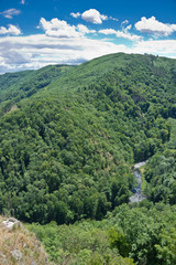 Obraz premium Kamp valley and river, one of the last free-flowing major aquatic ecosystems in Austria, in the midst of natural primeval-like forest.