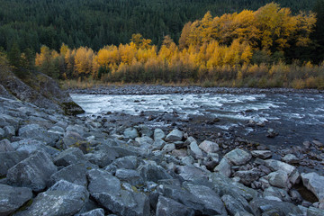 Chance Creek, Near Whistler, B.C., Canada
