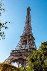 Fototapeta na wymiar View to Eiffel Tower through the trees