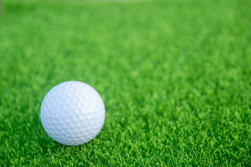 Golf ball on green grass ready to play at golf course. with copy space