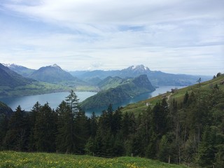 berg, landschaft, berg, wald, natur, himmel, cloud, sommer, green, baum, blau, gras, anblick, anreisen, hills, panorama, baum, gipfel, see, -täler, europa, cloud, fels, landschaftidyll, schweiz