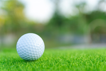 Golf ball on green grass ready to play at golf course. with copy space