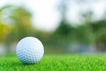 Golf ball on green grass ready to play at golf course. with copy space