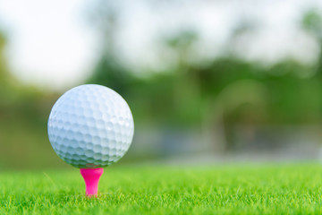 Golf ball with pink tee on green grass ready to play at golf course. with copy space