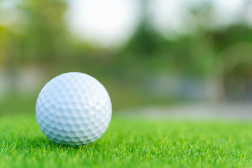 Golf ball on green grass ready to play at golf course. with copy space