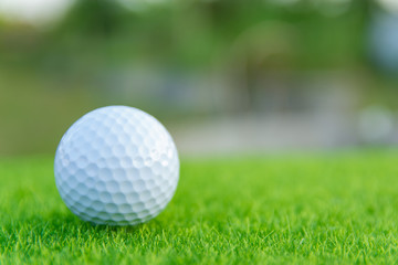 Golf ball on green grass ready to play at golf course. with copy space