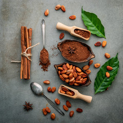 Cocoa powder and cacao beans on concrete background.