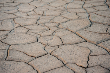 beautiful nature in the reserve