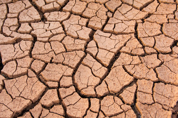 Cracked earth, cracked soil. texture of grungy dry cracking parched earth. Global worming effect.