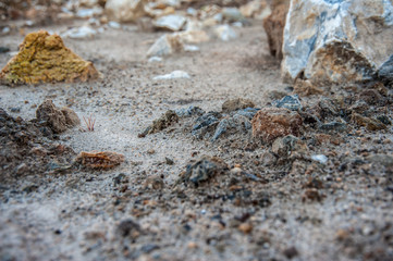 beautiful nature in the reserve