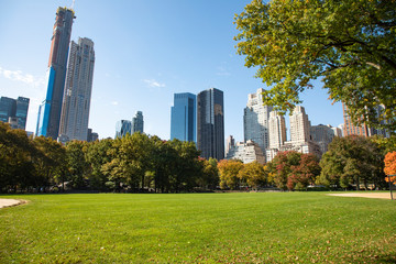 Fototapeta premium Central Park