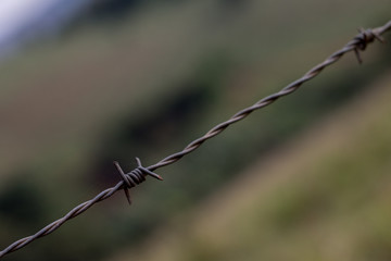 barbed wire on a background of green grass