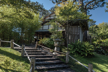 Bamboo, Tea house entrance, steps