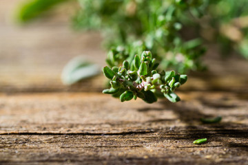 creeping thyme spice fresh leaves on old wooden table