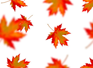 Seamless pattern with bright orange yellow red blurred falling maple leaves isolated on white background. Seasonal banner, cover, wallpaper or autumn holiday vintage decoration. Vector illustration