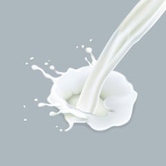 Fototapeta na wymiar milk drop and splash isolated on grey background