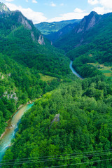 Tara River and Canyon